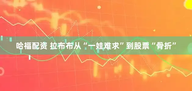 哈福配资 拉布布从“一娃难求”到股票“骨折”