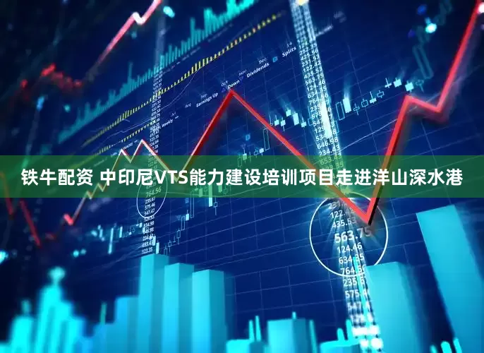 铁牛配资 中印尼VTS能力建设培训项目走进洋山深水港