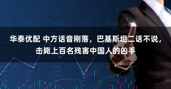 华泰优配 中方话音刚落，巴基斯坦二话不说，击毙上百名残害中国人的凶手